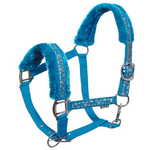 Kantar START SilverStars.jpg