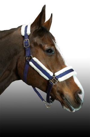 Kantar CANTER CLUB  FURRY niebieski