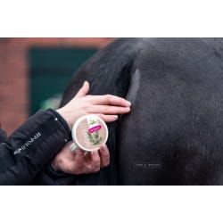 Tłuszcz mleczny PARISOL Melkfett z rozmarynem 100ml