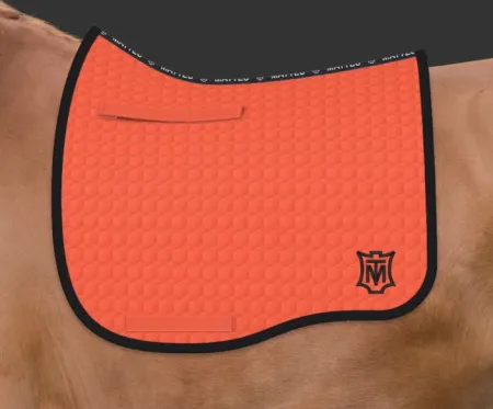 pomarańczowy - czarmy (102).JPG