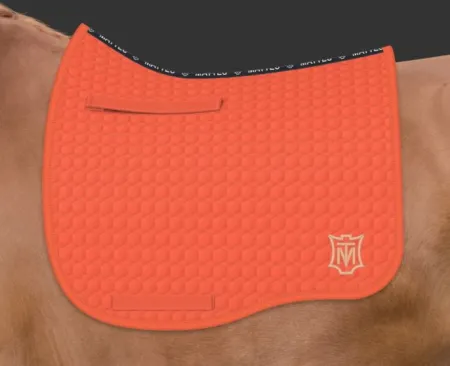 pomarańczowy - pomaranczowy (133).JPG