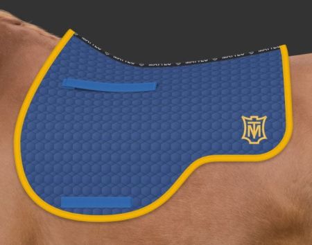 królewski niebieski - żółty (149).JPG