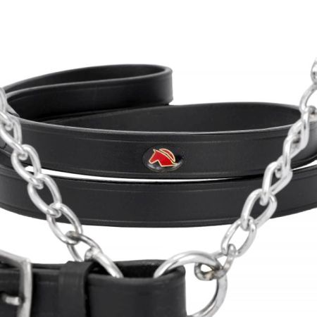 Ogłowie START Helios prezenterskie