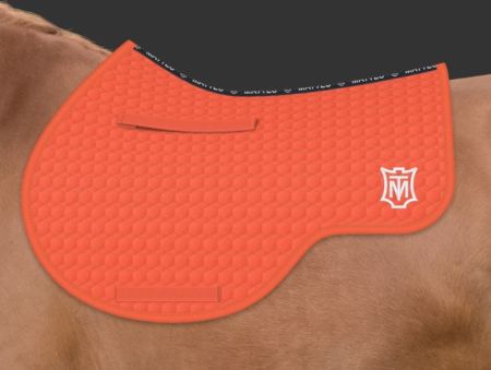 pomarańczowy - pomarańczowy (133).JPG