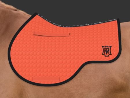 pomarańczowy - czarny (102).JPG