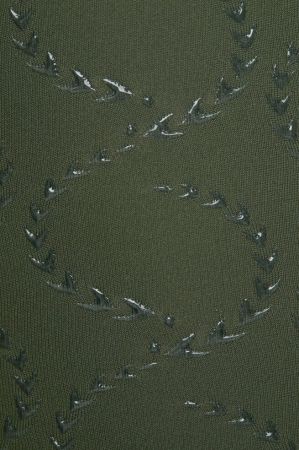 Legginsy kompresyjne HORZE Gillian z pełnym lejem silikonowym khaki