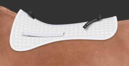 biała DR saddle fix.JPG