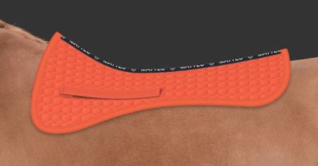 DR pomarańczowa.JPG