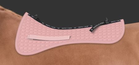 DR rumiany saddle fix.JPG