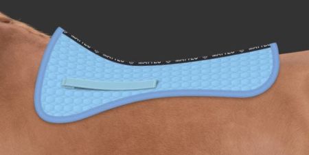 DR jasnoniebieska.JPG