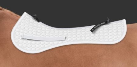 AP biała saddle fix.JPG