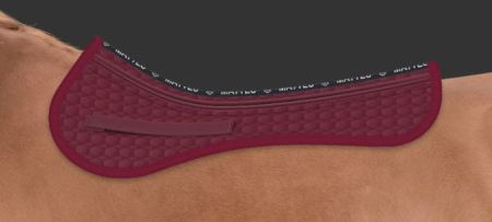 AP burgundowa single pocket.JPG