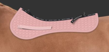 AP rumiana saddle fix.JPG