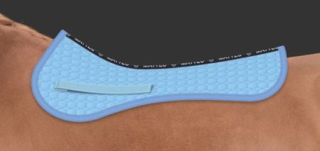 AP jasnoniebieski.JPG