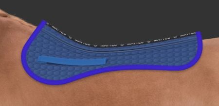 AP królewski single pocket.JPG