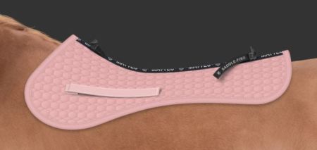 SJ rumiana saddle fix.JPG