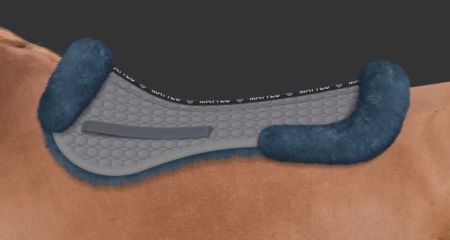 AP szara - niebieska (032).JPG