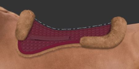 DR burgundowa - niodowy (46).JPG