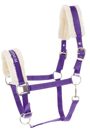 Kantar HORZE Crescendo Howard fioletowy