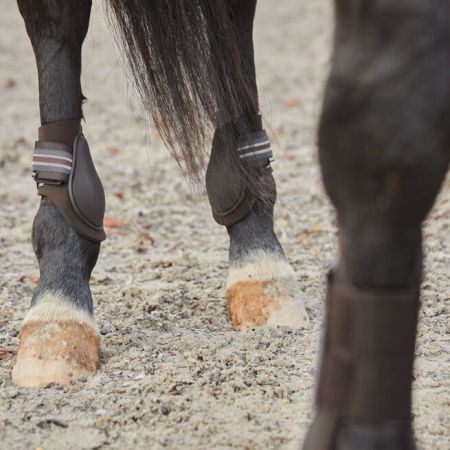 Ochraniacze tył HORZE Adepto ciemnobrązowe