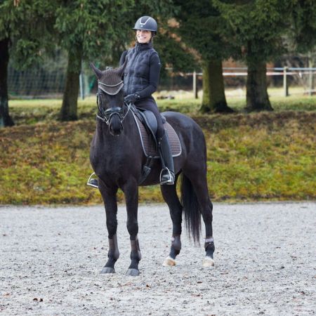 Ochraniacze tył HORZE Adepto ciemnobrązowe