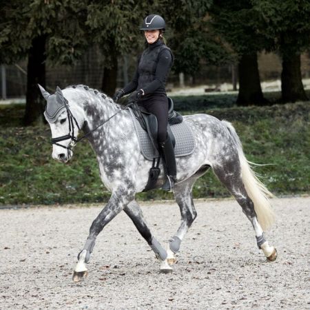 Ochraniacze tył HORZE Adepto stalowy szary