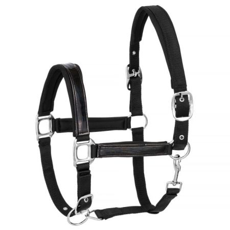 Kantar START Neoprene Holo