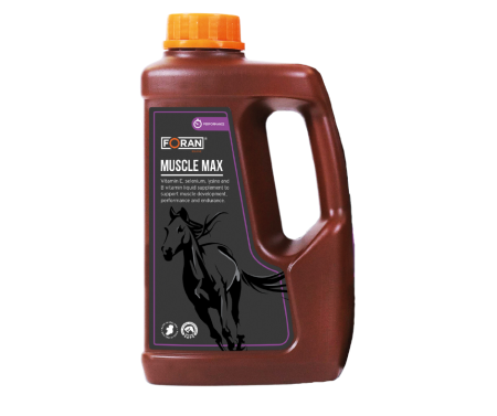 Suplement FORAN Muscle-Max - suplement wspomagający zdrowie, rozbudowę oraz regenerację mieśni