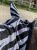 Zebra 2.jpg