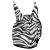 Zebra 3.jpg