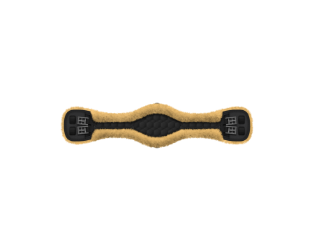 gurt_englisch_anatomisch-0228.png