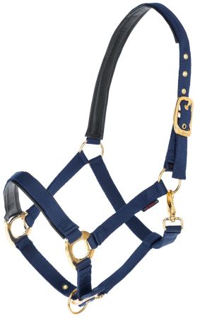 TopLine, granatowy 1.jpg