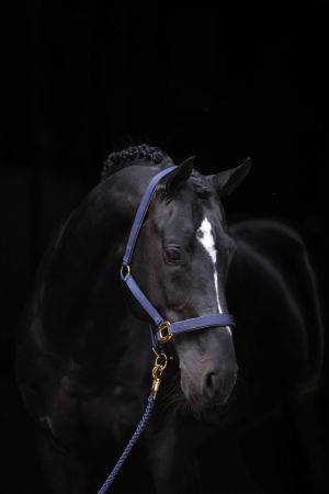 TopLine, granatowy 6.jpg