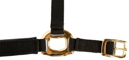 TopLine, czarny, 4.jpg