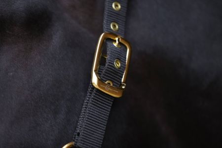 TopLine, czarny, 6.jpg