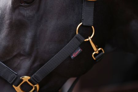 TopLine, czarny, 7.jpg