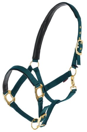 TopLine, zielony 1.jpg