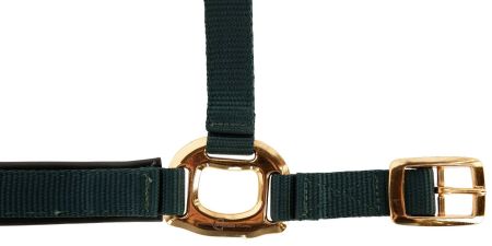 TopLine, zielony 4.jpg