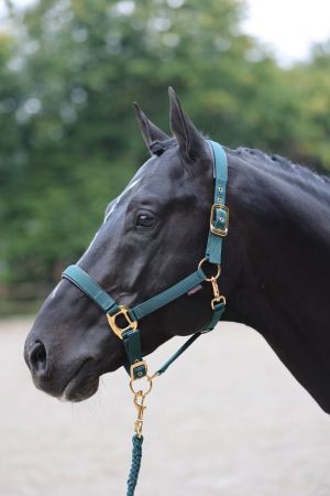 TopLine, zielony 6.jpg