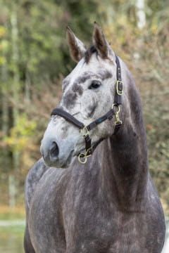 brązowy_ jasnoniebieski 3.jpg