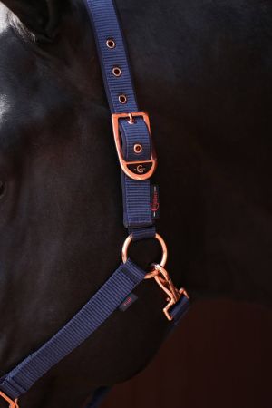 Classy, granatowy,5.jpg