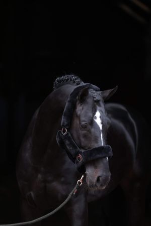 SuperSoft czarny 3.jpg