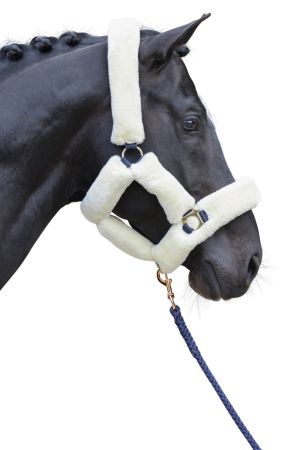 SuperSoft, navy 4.jpg