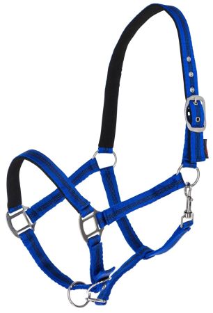 Mustang, niebieski 1.jpg