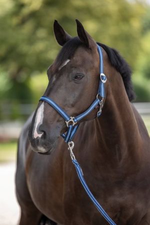 Hippo, granatowy 1.jpg