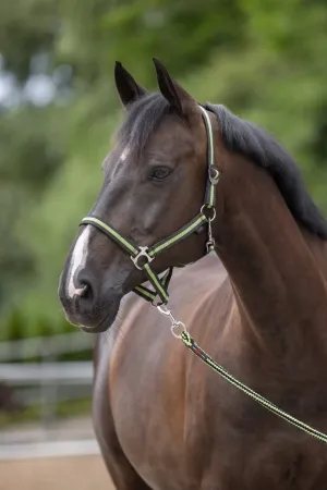 Hippo antracytowo-zielony 1.webp