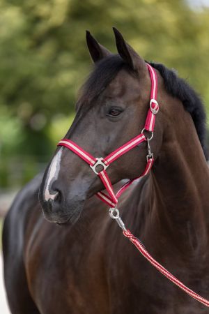 Hippo, bordowy 1.jpg