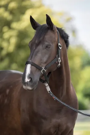 Hippo, czarny 1.webp