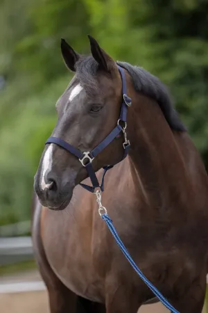 Hippo, granatowy 11.webp