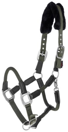 Cordano, oliwkowy 1.jpg